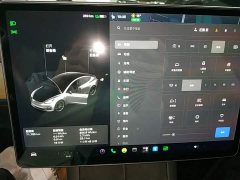 Tesla Model 3 Performance All-Wheel Drive - фото 11