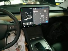 Tesla Model 3 Performance All-Wheel Drive - фото 12