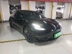 Tesla Model 3 Performance All-Wheel Drive - фото 3