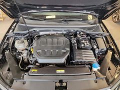 Volkswagen Magotan 2 Million Units Commemorative Edition 330TSI DSG Luxury - photo 19