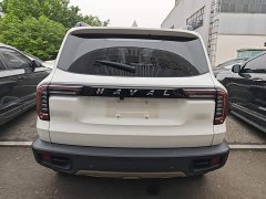 Great Wall Dachshund 1.5T DCT Two-Wheel Drive Border Collie Edition - ფოტო 5