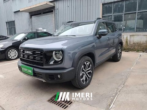 2025 Great Wall Dachshund 1.5T DCT Border Collie Edition - автомобиль из Китая
