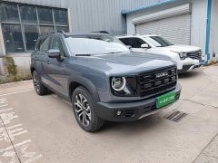 Great Wall Dachshund 1.5T DCT Border Collie Edition - ფოტო 3