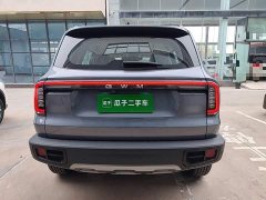 Great Wall Dachshund 1.5T DCT Border Collie Edition - ფოტო 5