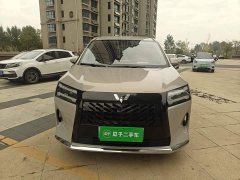 Wuling Starlight 730 New Energy PHEV 125km Luxury - фото 2