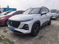 Baojun RS-3 1.5L CVT 24-Hour Online Luxury Edition - ფოტო 1