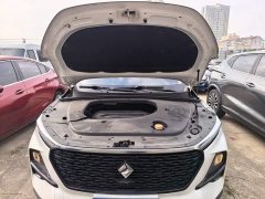 Baojun RS-3 1.5L CVT 24-Hour Online Luxury Edition - ფოტო 19
