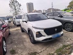 Baojun RS-3 1.5L CVT 24-Hour Online Luxury Edition - ფოტო 3
