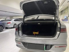 BYD Qin Plus DM-i 55KM Flagship - ფოტო 8