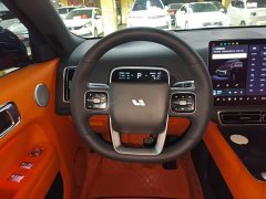 Li Auto L9 Max - ფოტო 10