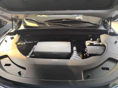 Li Auto L7 Max - ფოტო 19