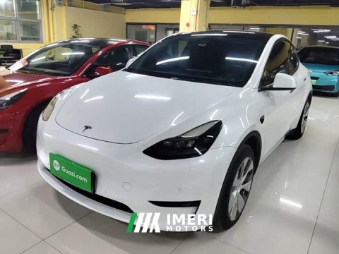 2023 Tesla Model Y Facelift Rear-Wheel Drive - ავტომობილი ჩინეთიდან