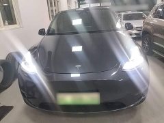 Tesla Model Y Long Range All-Wheel Drive - ფოტო 2