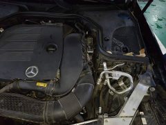 Mercedes-Benz E-Class E 300 L Luxury - ფოტო 19