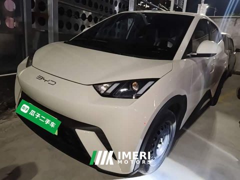 2023 BYD Seagull Vitality Edition - car from China