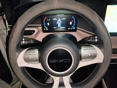 BYD Seagull Vitality Edition - ფოტო 10