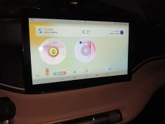 BYD Seagull Vitality Edition - ფოტო 12