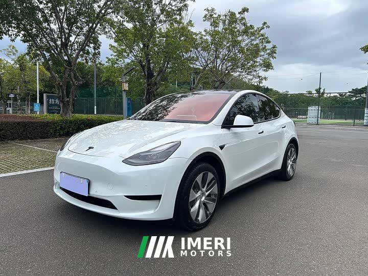 Tesla Model Y Rear-Wheel Drive - car from China