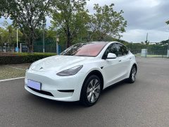 Tesla Model Y Rear-Wheel Drive - photo 1