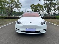Tesla Model Y Rear-Wheel Drive - photo 2