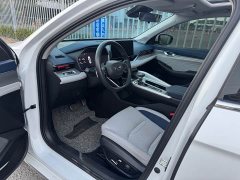 Geely Xingrui 2.0T Diesel Elite - фото 7