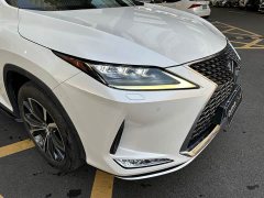 Lexus RX Facelift 300 AWD Elegance - ფოტო 2