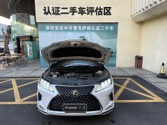Lexus RX Facelift 300 AWD Elegance - ფოტო 4