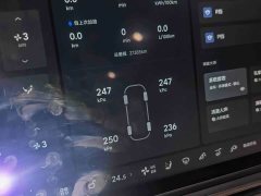 Li Auto L8 Pro - ფოტო 19