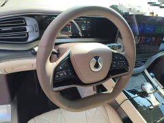 Denza D9 DM-i 970 AWD Premium Edition - photo 11