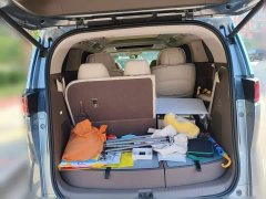 Denza D9 DM-i 970 AWD Premium Edition - photo 20