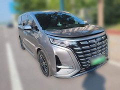 Denza D9 DM-i 970 AWD Premium Edition - photo 3