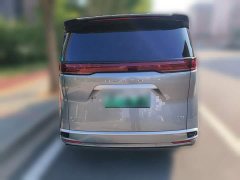 Denza D9 DM-i 970 AWD Premium Edition - photo 5