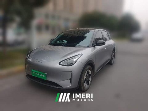 2025 Geely Xing Yuan 310km Dream Edition - ავტომობილი ჩინეთიდან