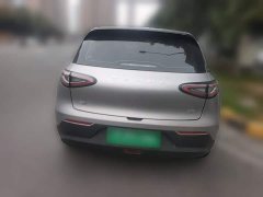 Geely Xing Yuan 310km Dream Edition - ფოტო 3