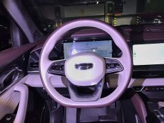 Geely Xingyue L 2.0T High-Power Automatic AWD Flagship - ფოტო 11
