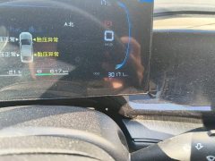 BYD Qin PLUS Glory Edition DM-i 55KM Leading - ფოტო 8