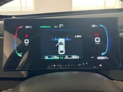 BYD Qin Plus Champion Edition DM-i 120KM Exceed - ფოტო 11