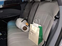 Geely Galaxy E8 550km Rear-Wheel Drive MAX - ფოტო 13