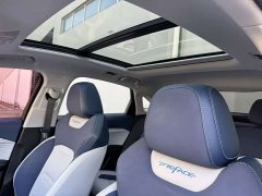 Geely Xingrui 2.0T Diesel Premium - ფოტო 13