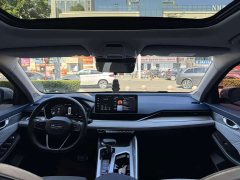 Geely Xingrui 2.0T Diesel Premium - ფოტო 19