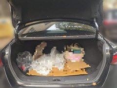 Nissan Sylphy 1.6L XL CVT Comfort Edition - фото 20
