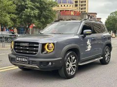 Great Wall Big Dog 1.5T DCT FWD Malinois Edition - ფოტო 1