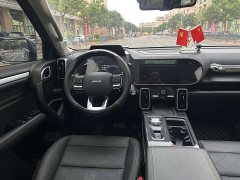 Great Wall Big Dog 1.5T DCT FWD Malinois Edition - ფოტო 15