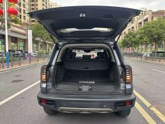 Great Wall Big Dog 1.5T DCT FWD Malinois Edition - ფოტო 18