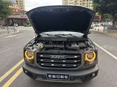 Great Wall Big Dog 1.5T DCT FWD Malinois Edition - ფოტო 19