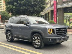 Great Wall Big Dog 1.5T DCT FWD Malinois Edition - ფოტო 2