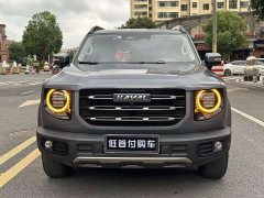 Great Wall Big Dog 1.5T DCT FWD Malinois Edition - ფოტო 3