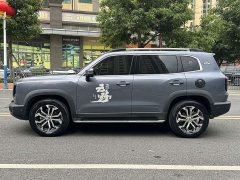 Great Wall Big Dog 1.5T DCT FWD Malinois Edition - ფოტო 5