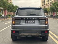 Great Wall Big Dog 1.5T DCT FWD Malinois Edition - ფოტო 6