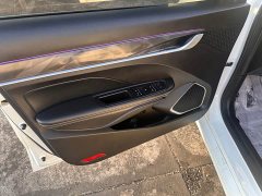 Geely Binrui 1.4T CVT Asian Games Edition - ფოტო 7